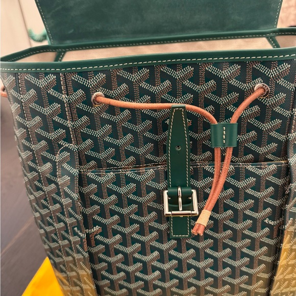 Goyard Green Alpine MM Backpack - Picture 7 of 11